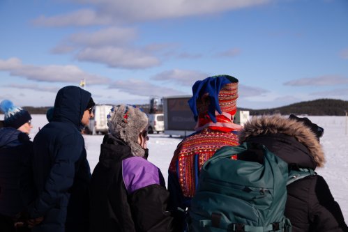 Porokisojen yleisöä vuonna 2026