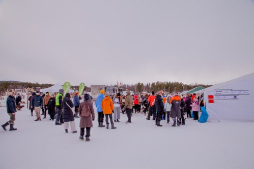 Porokisojen yleisöä vuonna 2026