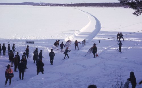 Vanha kuva porokisoista