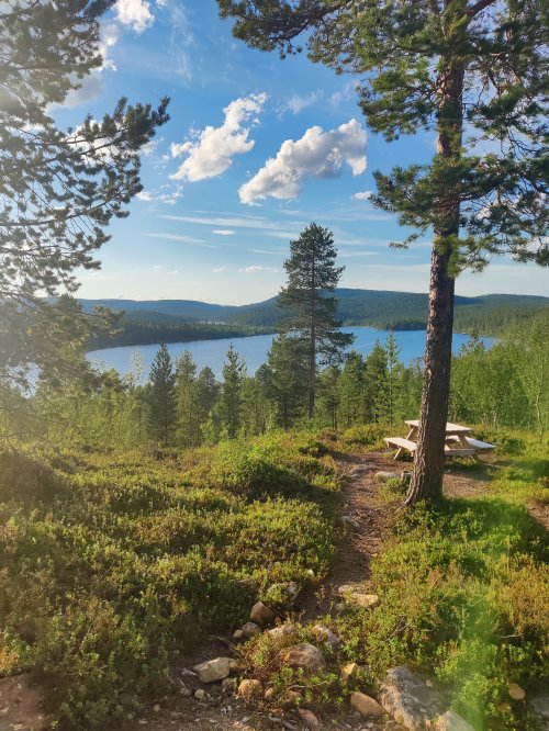 Kuvassa jänkkävaaran levähdyspaikka