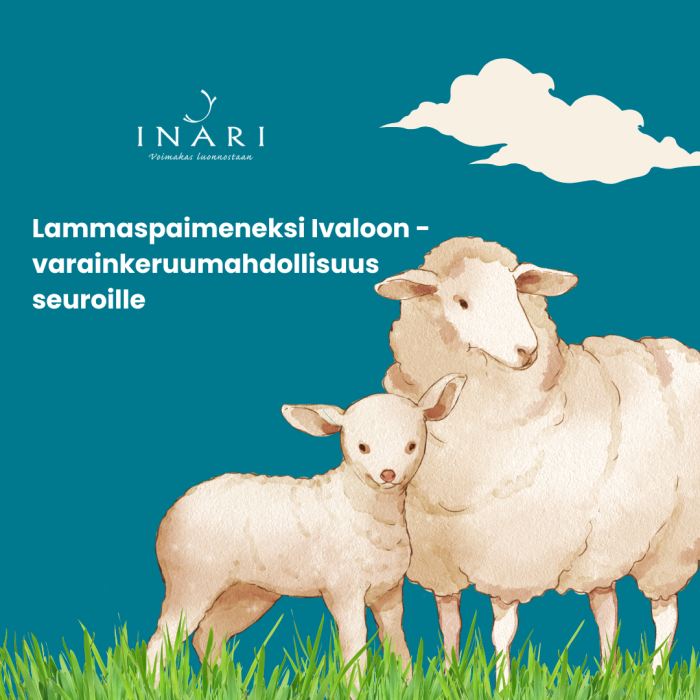 Varainkeruu mahdollisuus seuroille