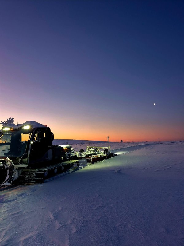 Tamppari työssään