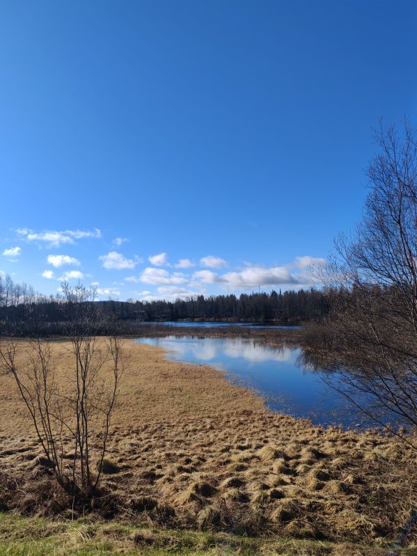 Mukkavuopaja tulvii Mukkavuopaja tulvii hieman. Pellolla on vettä vähän.