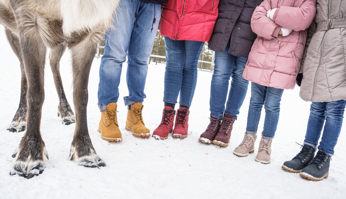 people and reindeer standing next to each other 