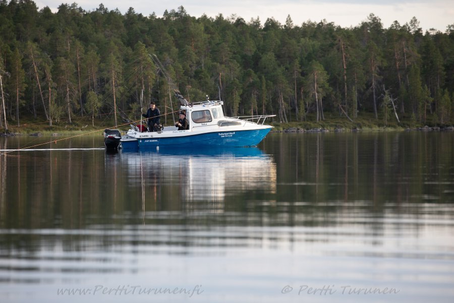 Uistelijoita Inarijärvellä. Kuvan ottaja Pertti Turunen. 