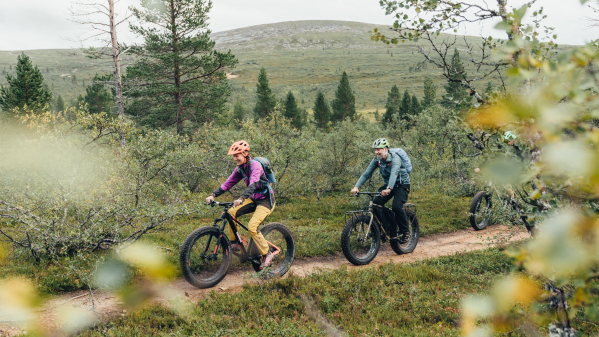 Kuvassa maastopyöräilijä Kiilopään kesämaisemissa.  Kuva: rolloutdoors