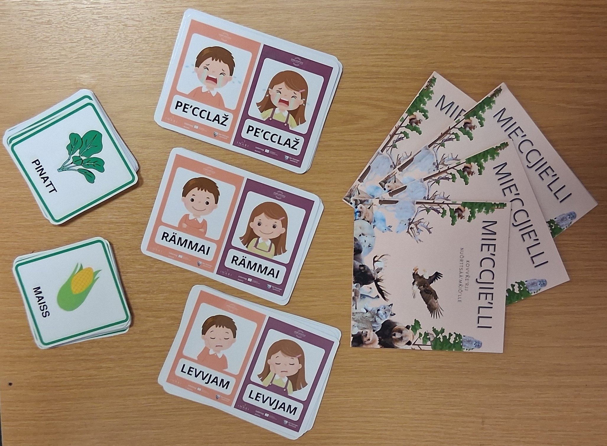 Fyyslaž mättʼtem-materiaal