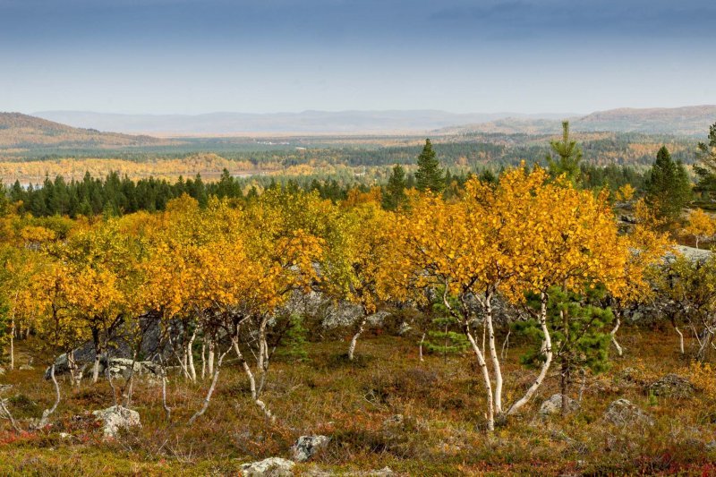 Kuvassa Näätämöä ruskan aikaan. Kuva: Jouni Liukkonen