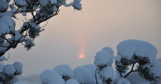 Yhteishanke vahvistaa kuntien suunnitelmallista so...