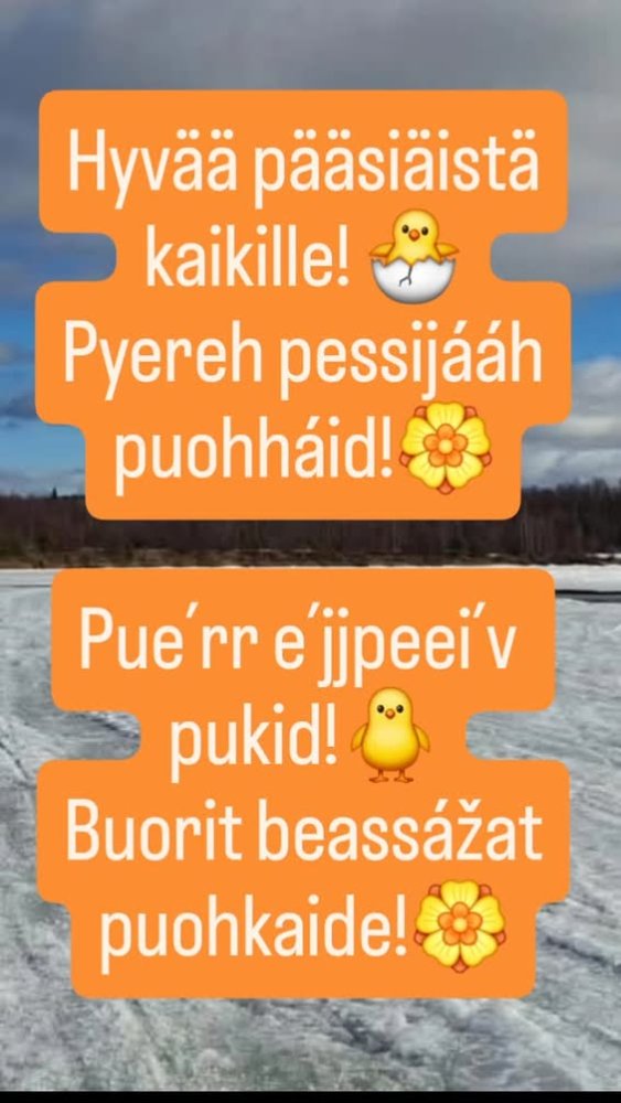 Hyvää pääsiäistä kaikille! 🐣 Pyereh pessijááh puoh...
