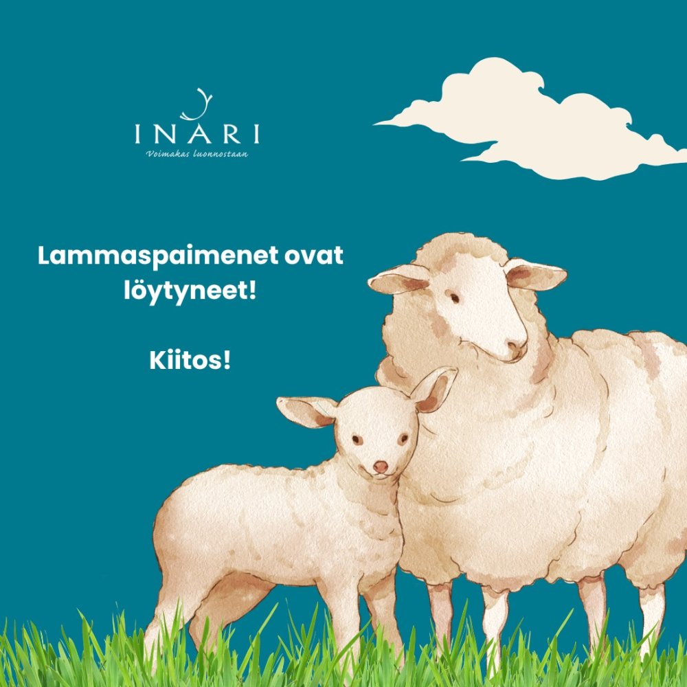 Olemme löytäneet lammaspaimenet tulevan kesän lamp...