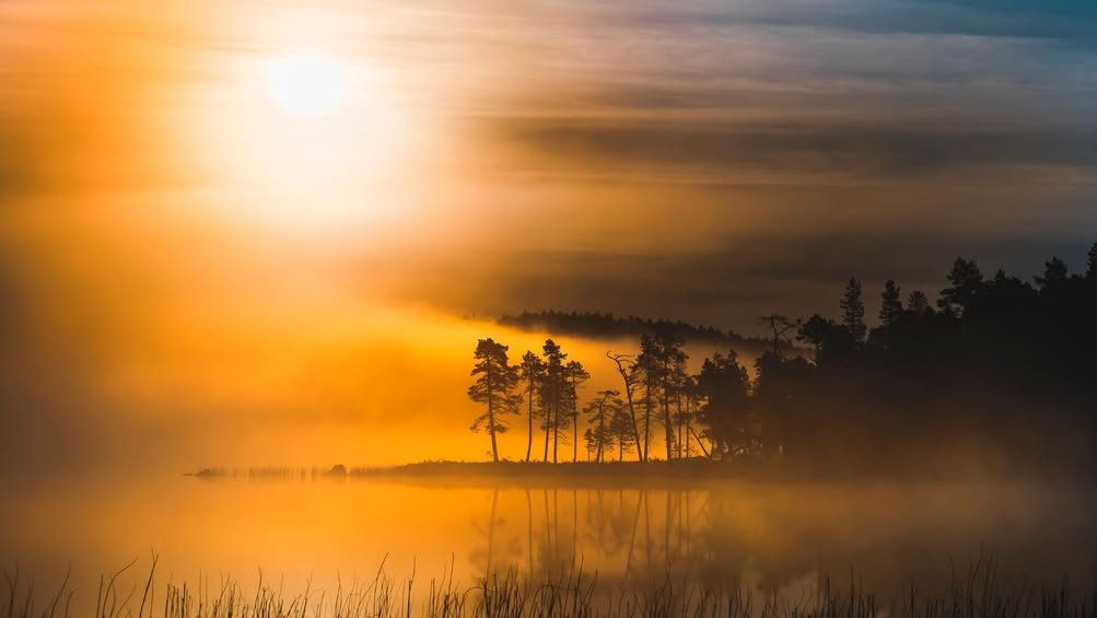 Ehdota Yhteisön voima -tunnustuksen saajaa! ✨ Inar...