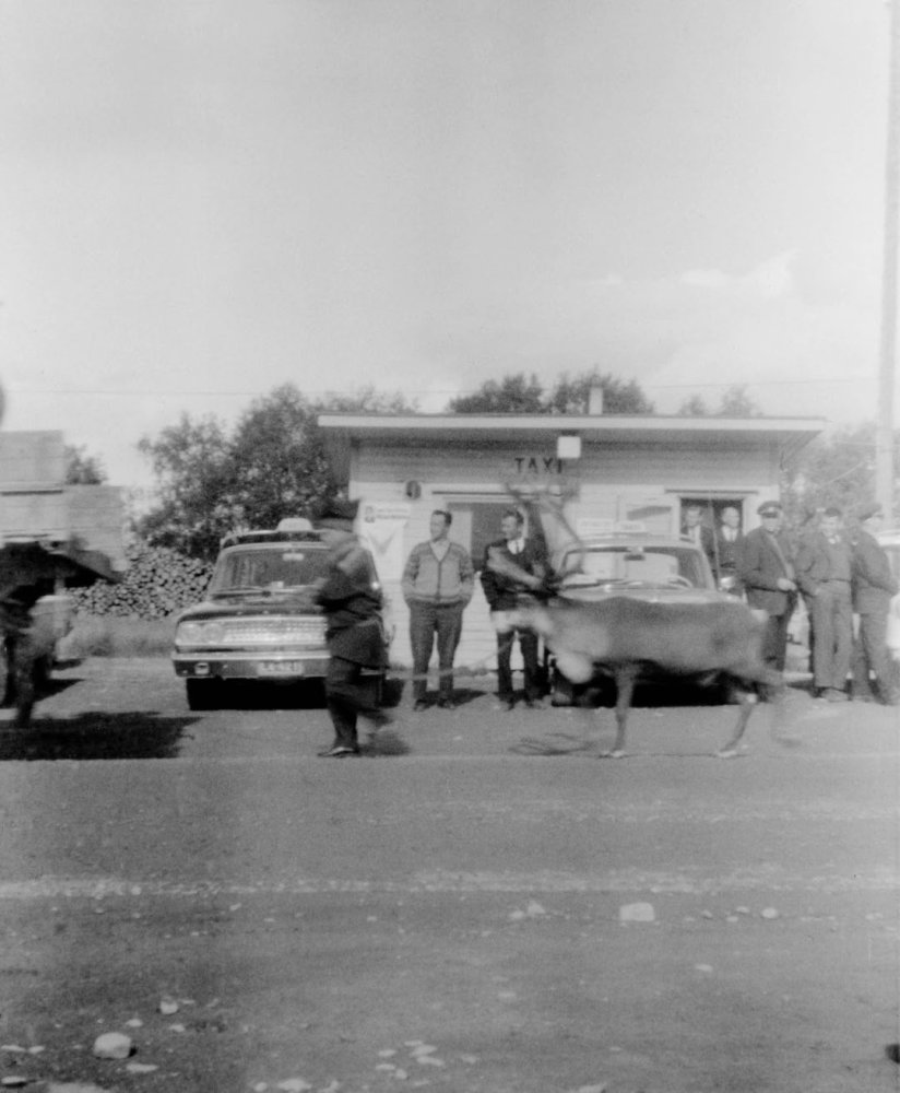 Valokuvailta Siidassa torstaina 23.4. klo 17–18.30...