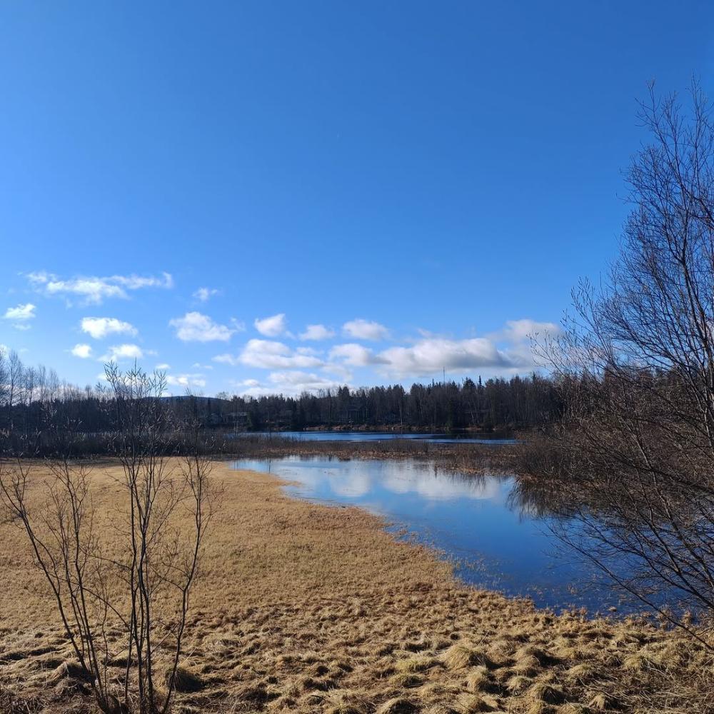 Ivalojoen tulva jää tänä vuonna keskiarvoa pienemm...