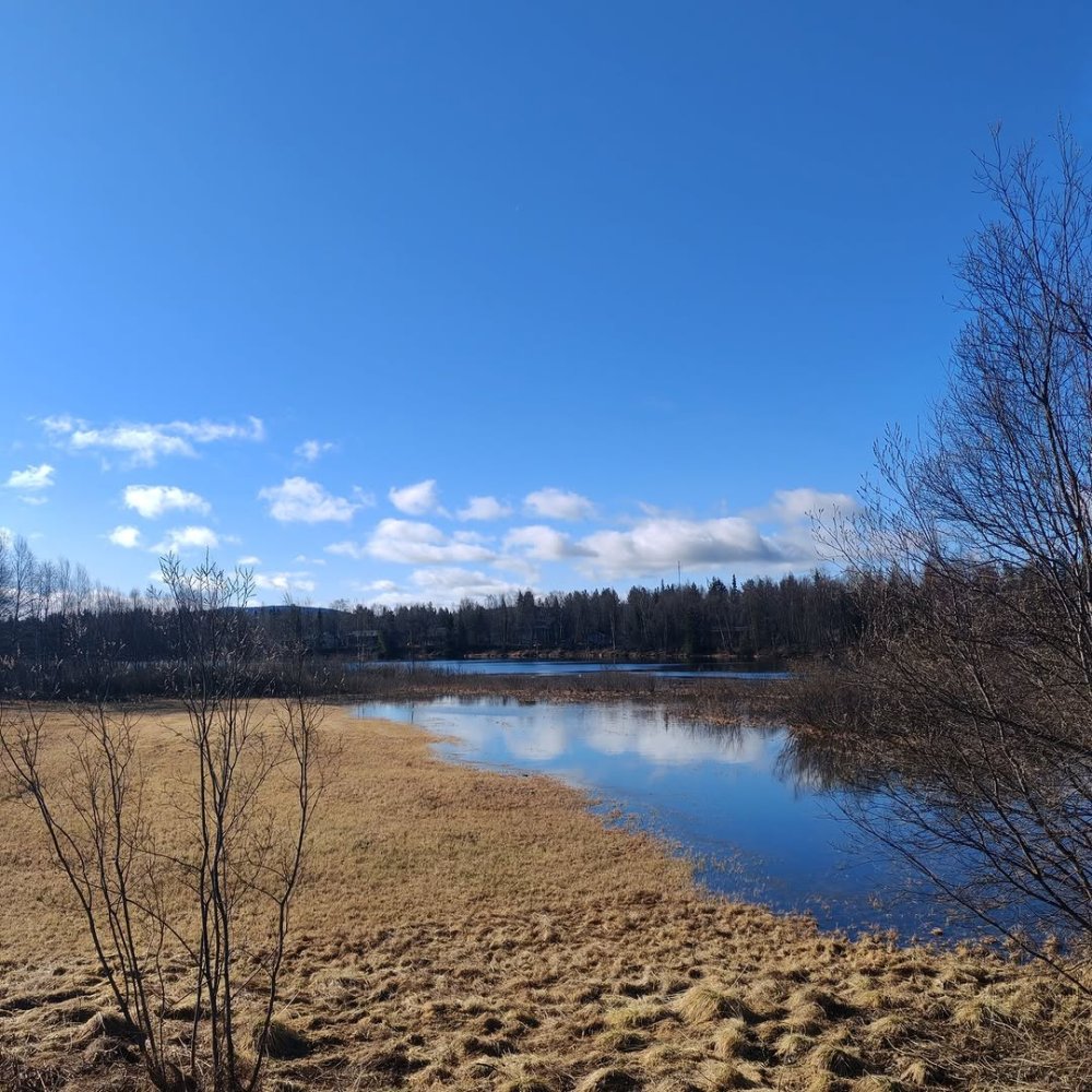 Ivalojoen tulva jää tänä vuonna keskiarvoa pienemm...