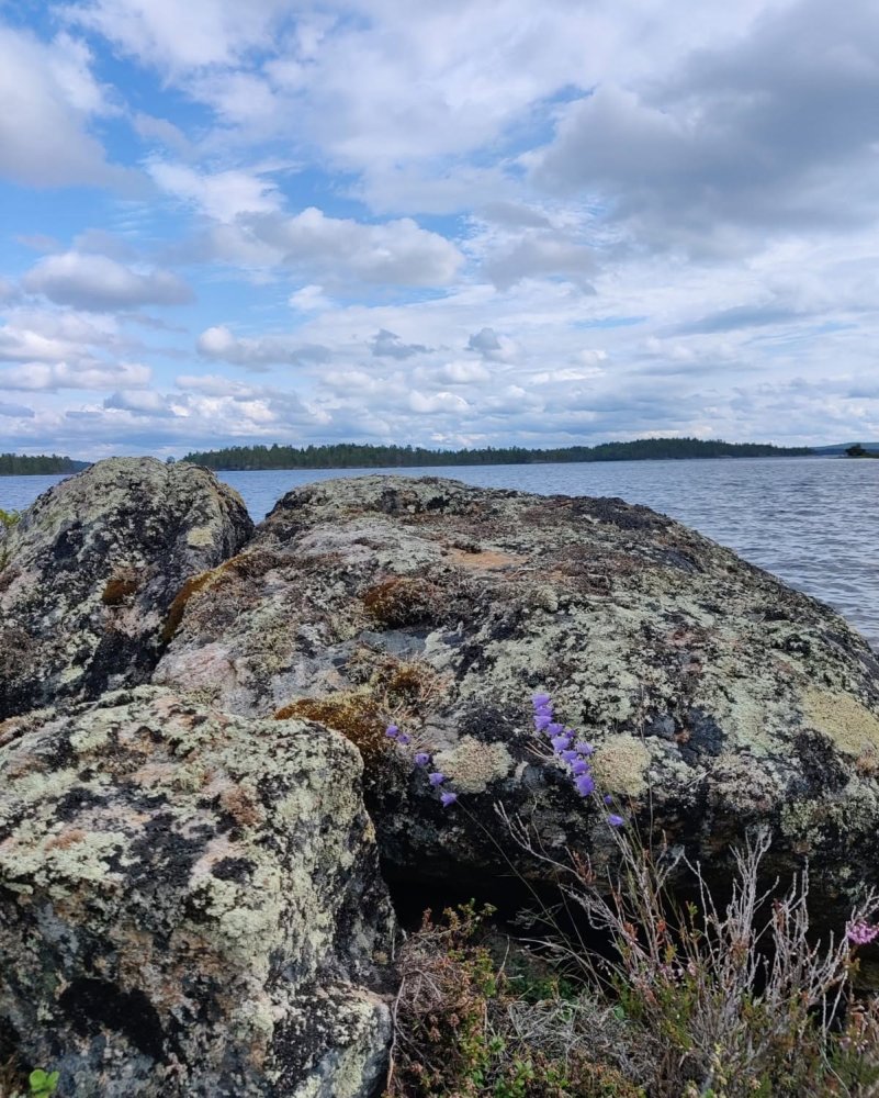 Eilen sunnuntaina, Inariviikkojen viimeisenä päivä...