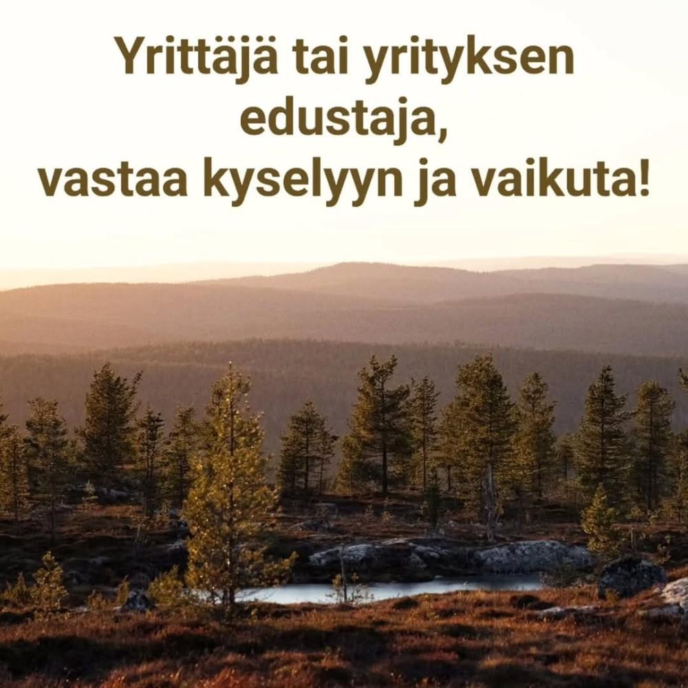 YRITYSEKOSYSTEEMIN KEHITTÄMINEN IVALOSSA JA SAARIS...