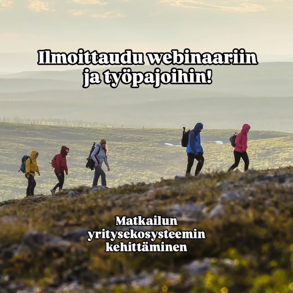 Matkailun yritysekosysteemin kehittäminen Ivalossa...
