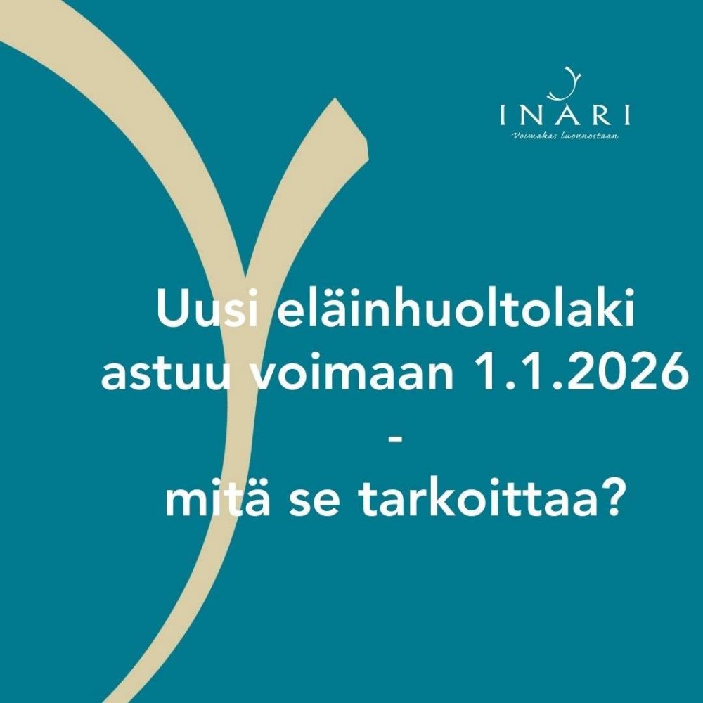 Uudessa eläinlääkintähuoltolaissa on kunnan järjes...