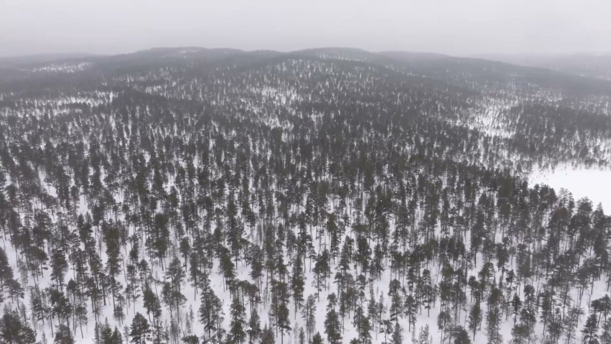 Inari's hidden gems 🤩 Want to capture them on film...
