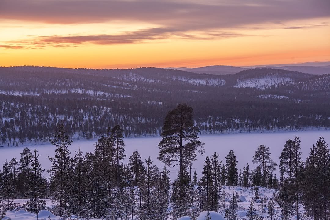 Inarin kunnan pääkirjasto hakee kirjastovirkailija...