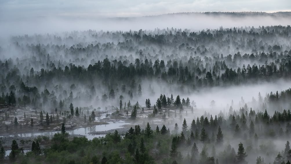 Inarin kunta kilpailuttaa Partakko-Nitsijärvi-Näät...