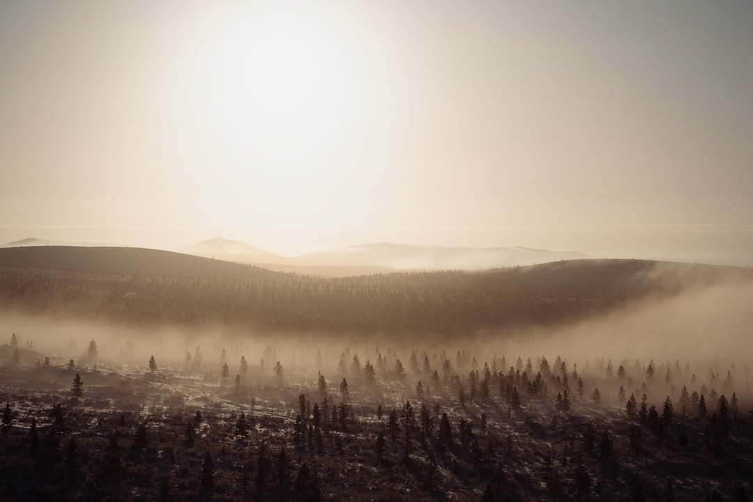 Vielä ehdit varaamaan ajan Verohallinnon ulkomaala...