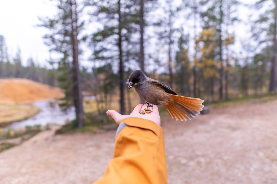 Lokakuun uutiskirje yrittäjille on julkaistu! Uuti...