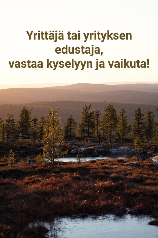 YRITYSEKOSYSTEEMIN KEHITTÄMINEN IVALOSSA JA SAARIS...