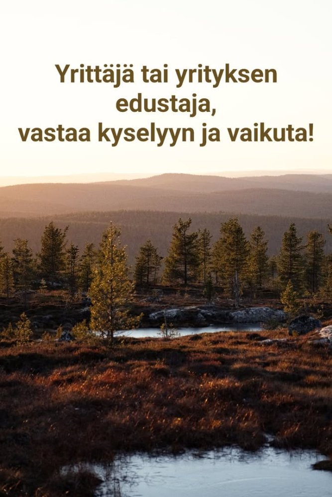 YRITYSEKOSYSTEEMIN KEHITTÄMINEN IVALOSSA JA SAARIS...