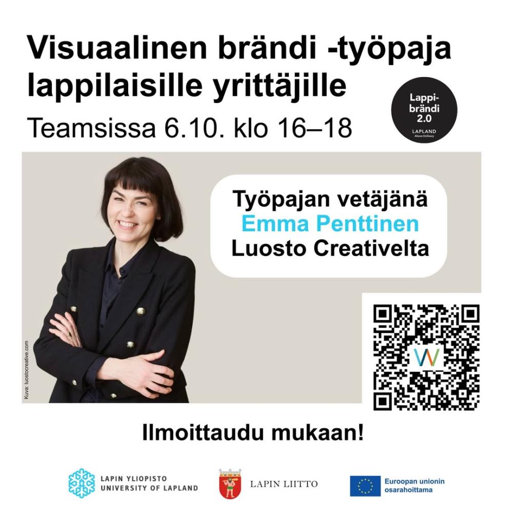 Hyvä yrittäjä, Mitä Lapin aluebrändi voisi tarkoit...