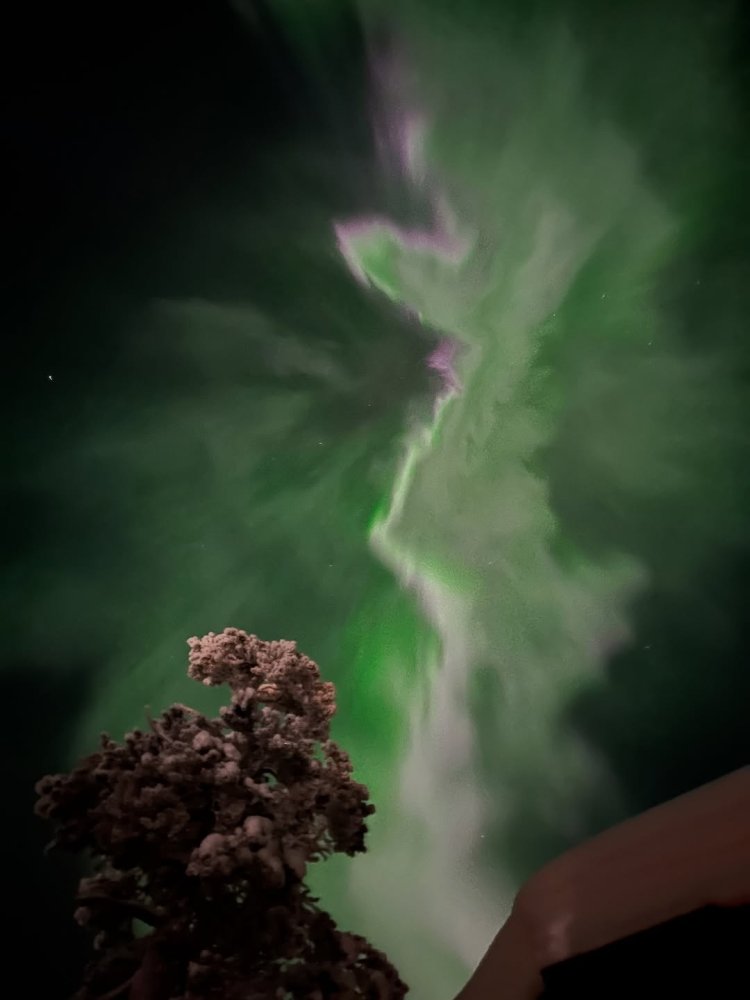 Saariselkä right now 👌 Sometimes the auroras come ...