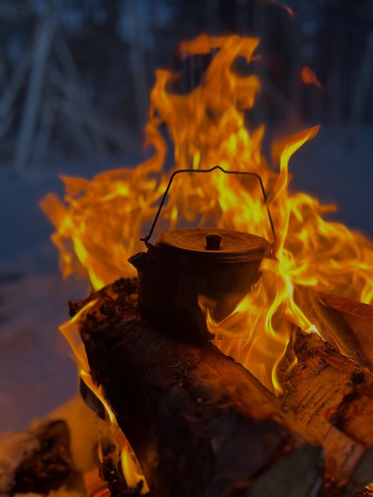 What an epic day in the forest again! Urho Kekkone...