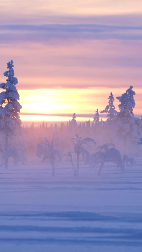 It s time to enjoy the last sunrays of the year. B...