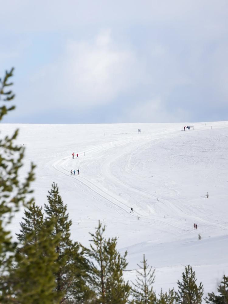 Oh my, what a weekend! Full of blooming northern l...