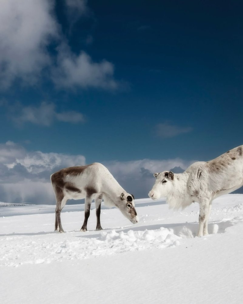 Come meet us in Helsinki at the Matka Travel Fair ...