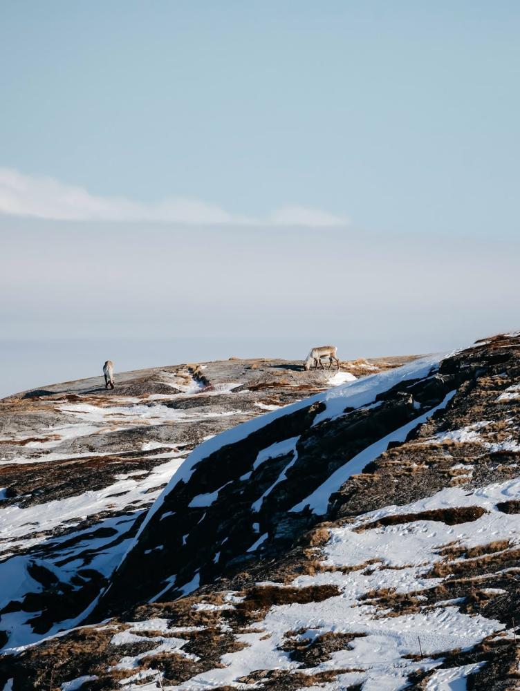 Happy Earth Day from Northern Lapland! 🌍 Today we ...