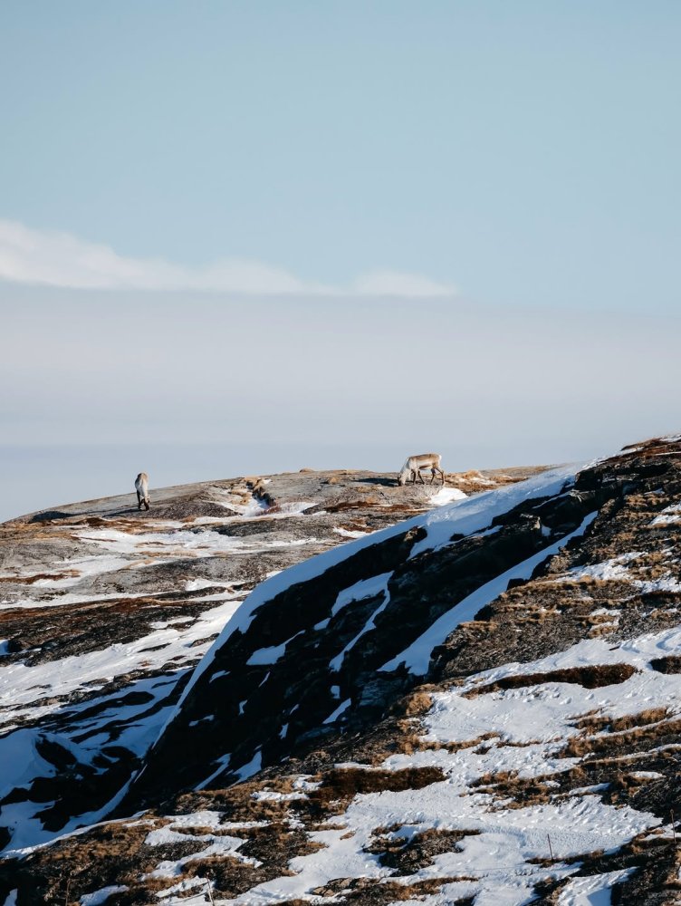 Happy Earth Day from Northern Lapland! 🌍 Today we ...