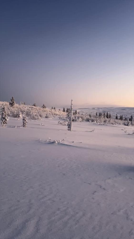 This is what chasing the sunset on skis in Norther...