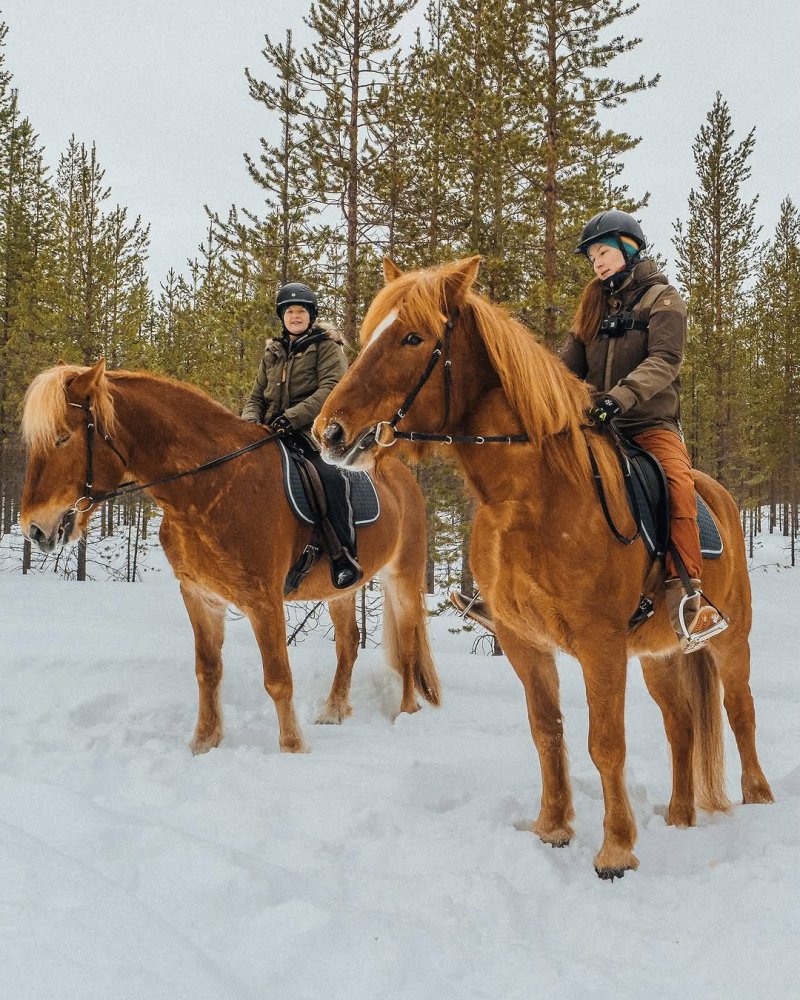 Did you know that in addition to reindeer and sled...