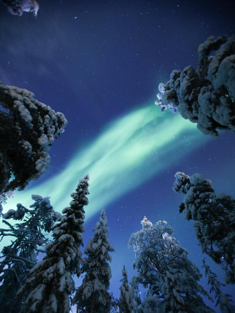 Nights like this you never forget ✨ #laplandnorth ...