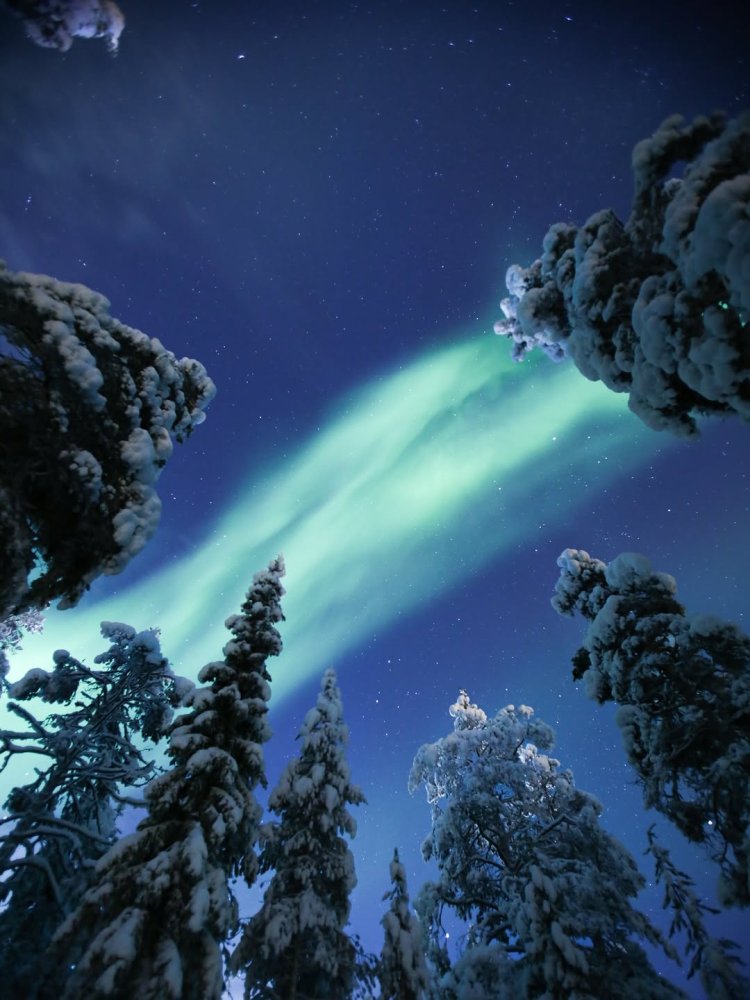 Nights like this you never forget ✨ #laplandnorth ...