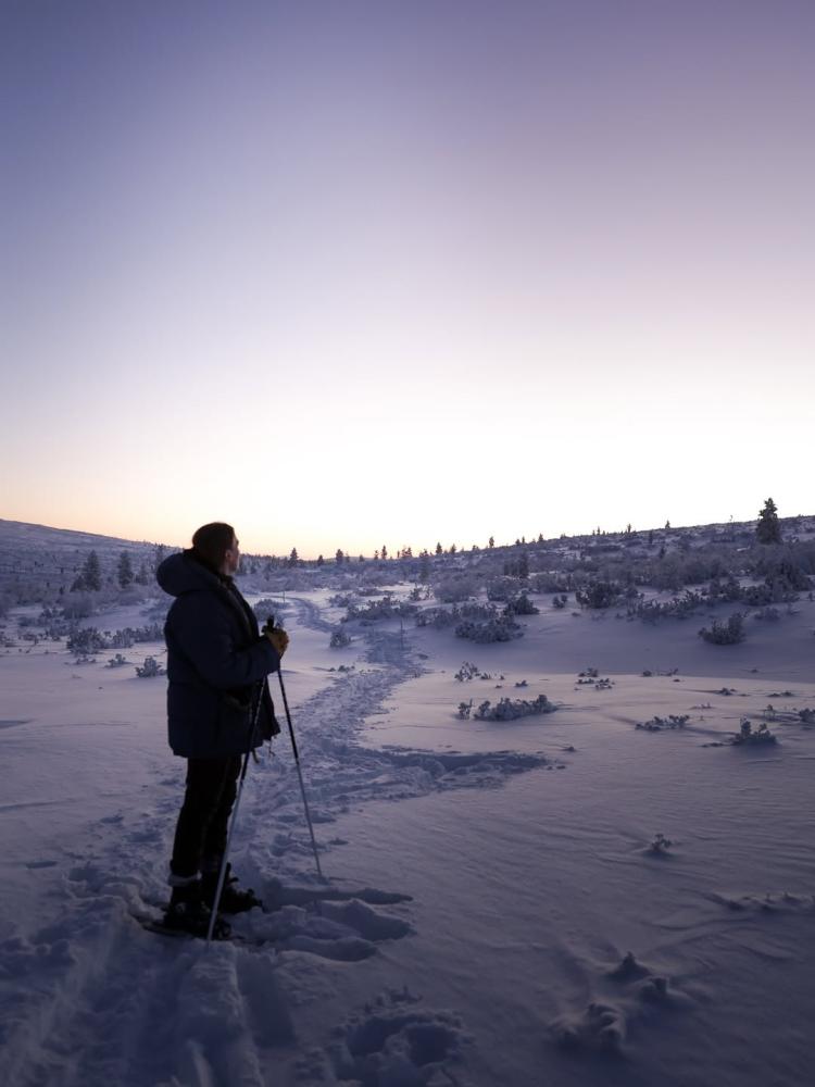 This is what it looks like when the noise fades. S...