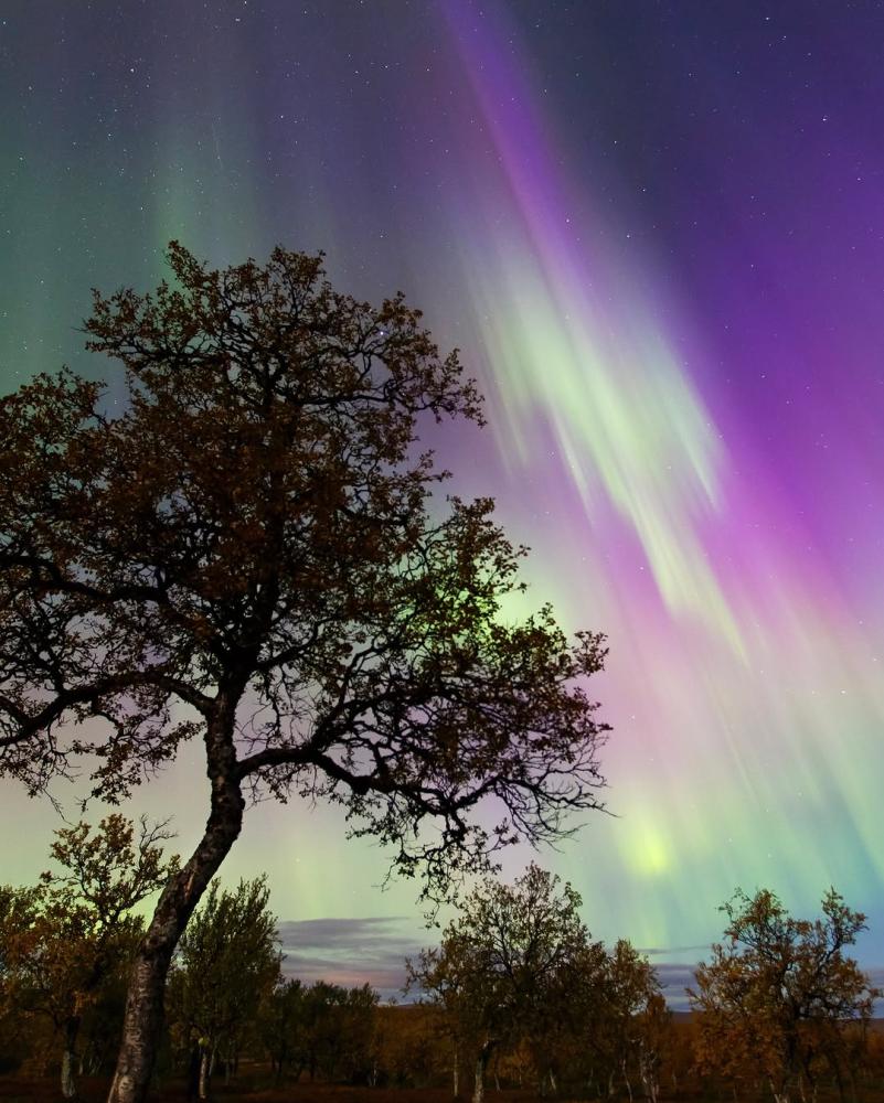 The first time you see the Northern Lights, it s n...