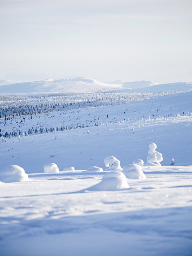 Happy World Wildlife Day! Today we celebrate wildl...