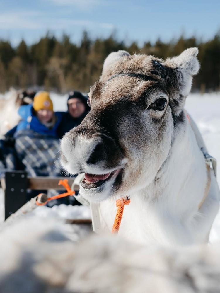 It s almost Easter! ☀️ More than half a metre of s...